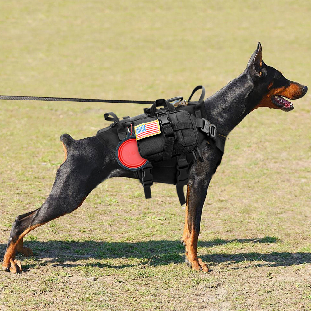 Dog Outdoor Tactical Harness - My Store Black / L Pet suplies