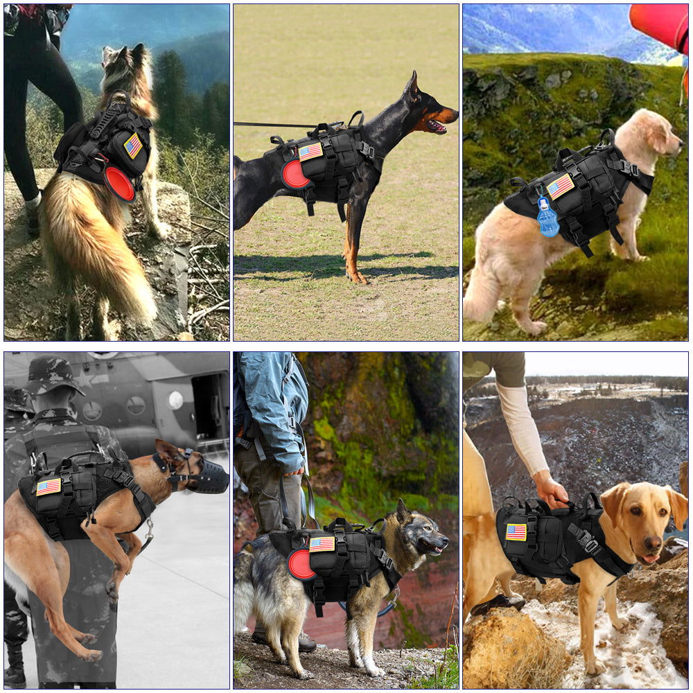 Dog Outdoor Tactical Harness - My Store Black / L Pet suplies