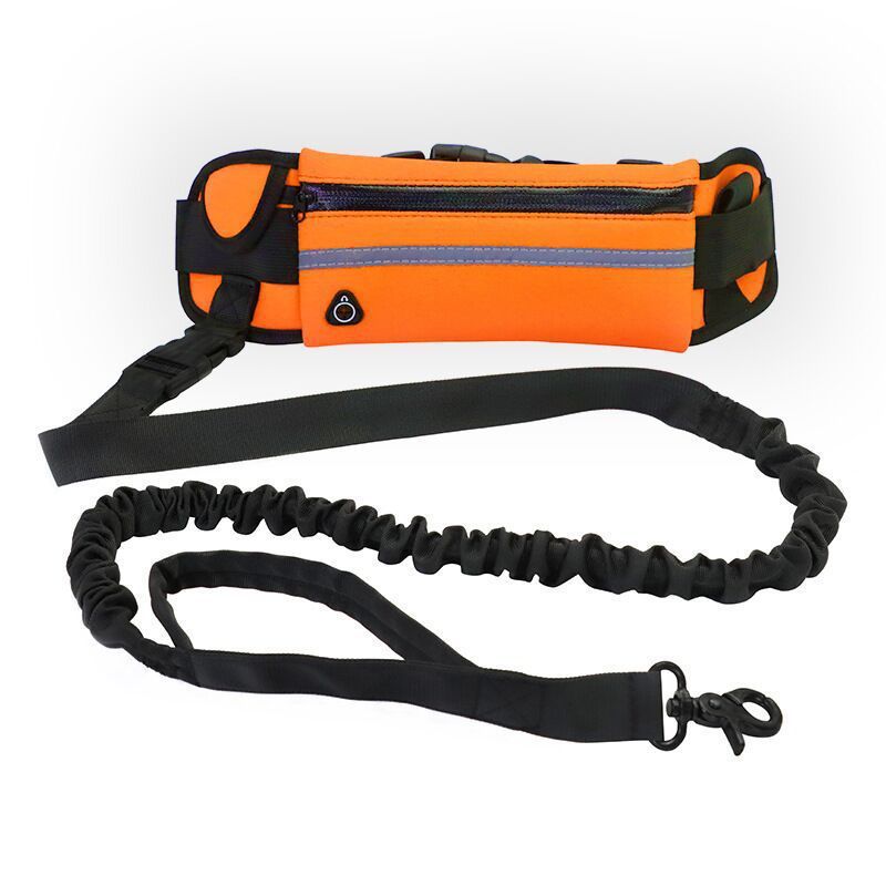 Pet Purse Leash For Dog Walking - My Store Orange Pet suplies