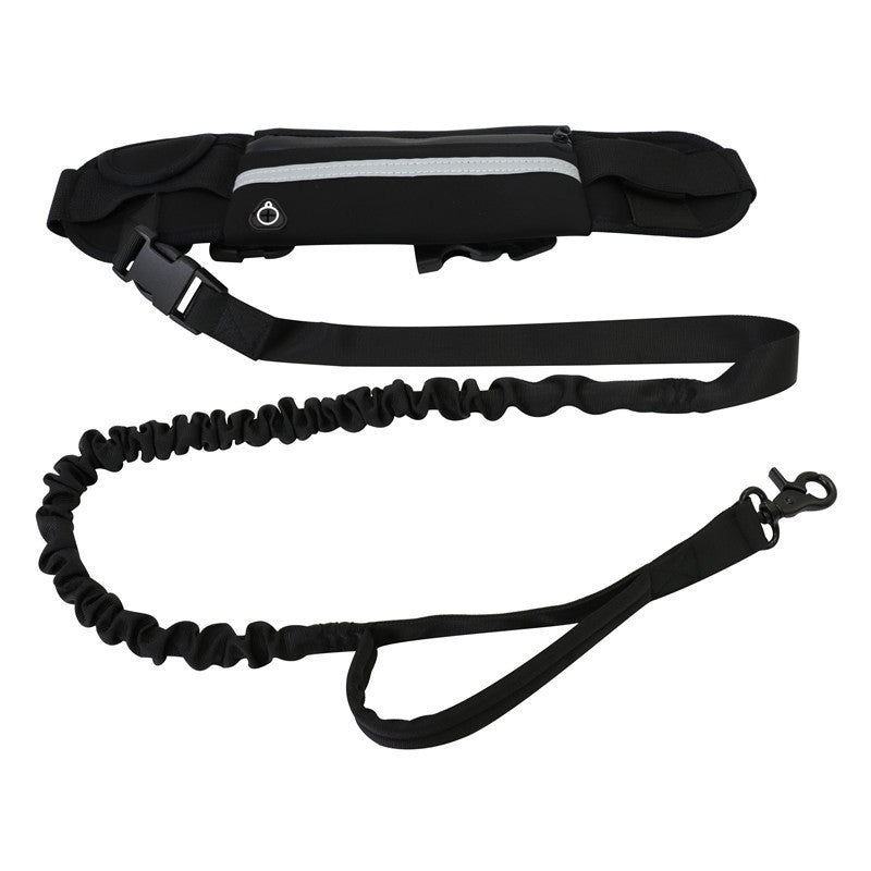 Pet Purse Leash For Dog Walking - My Store Black Pet suplies