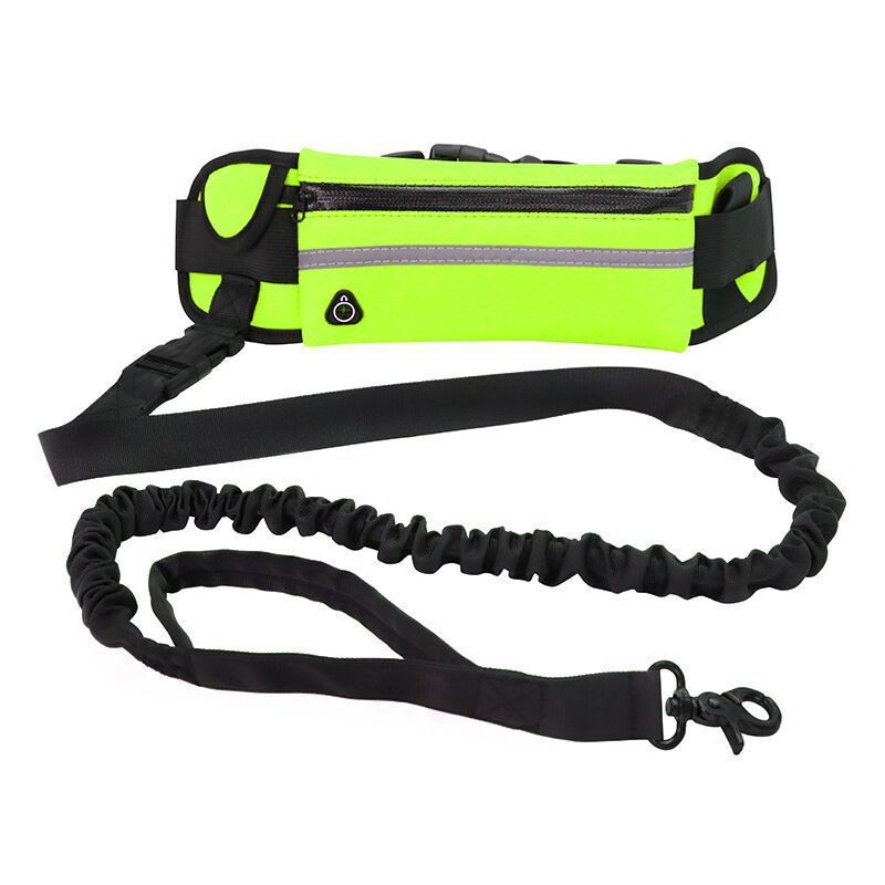 Pet Purse Leash For Dog Walking - My Store Green Pet suplies