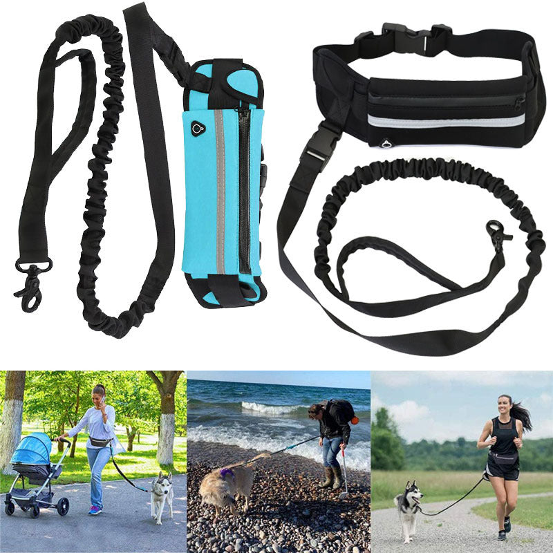 Pet Purse Leash For Dog Walking - My Store Black Pet suplies