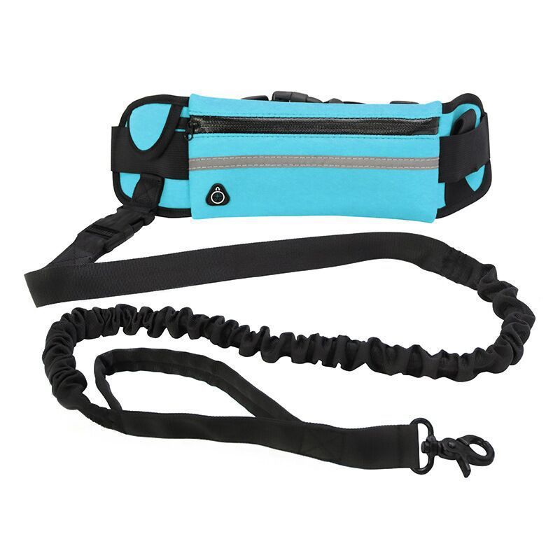 Pet Purse Leash For Dog Walking - My Store Blue Pet suplies