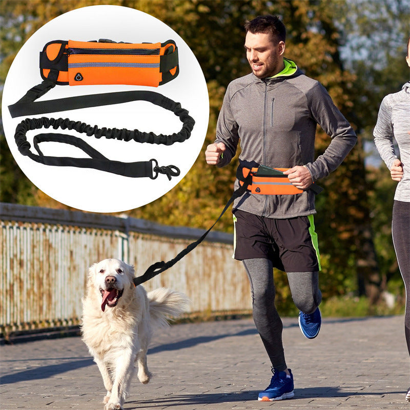 Pet Purse Leash For Dog Walking - My Store Black Pet suplies